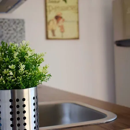 شقة Halkidiki Mare 2 *