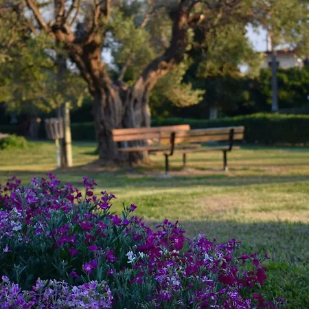 Lägenhet Halkidiki Mare 2 Kalyves Polygyrou