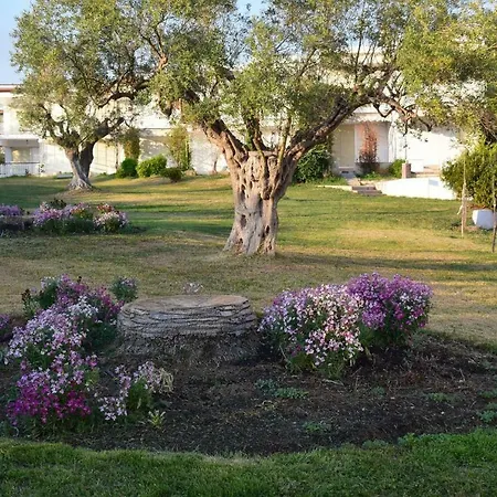 Halkidiki Mare 2 Kalyves Polygyrou